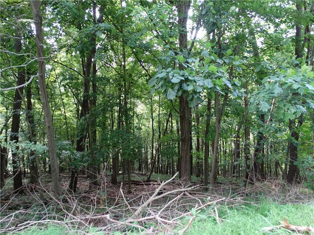30.7 Acres of Recreational & Residential Land for Sale in Amity, Pennsylvania