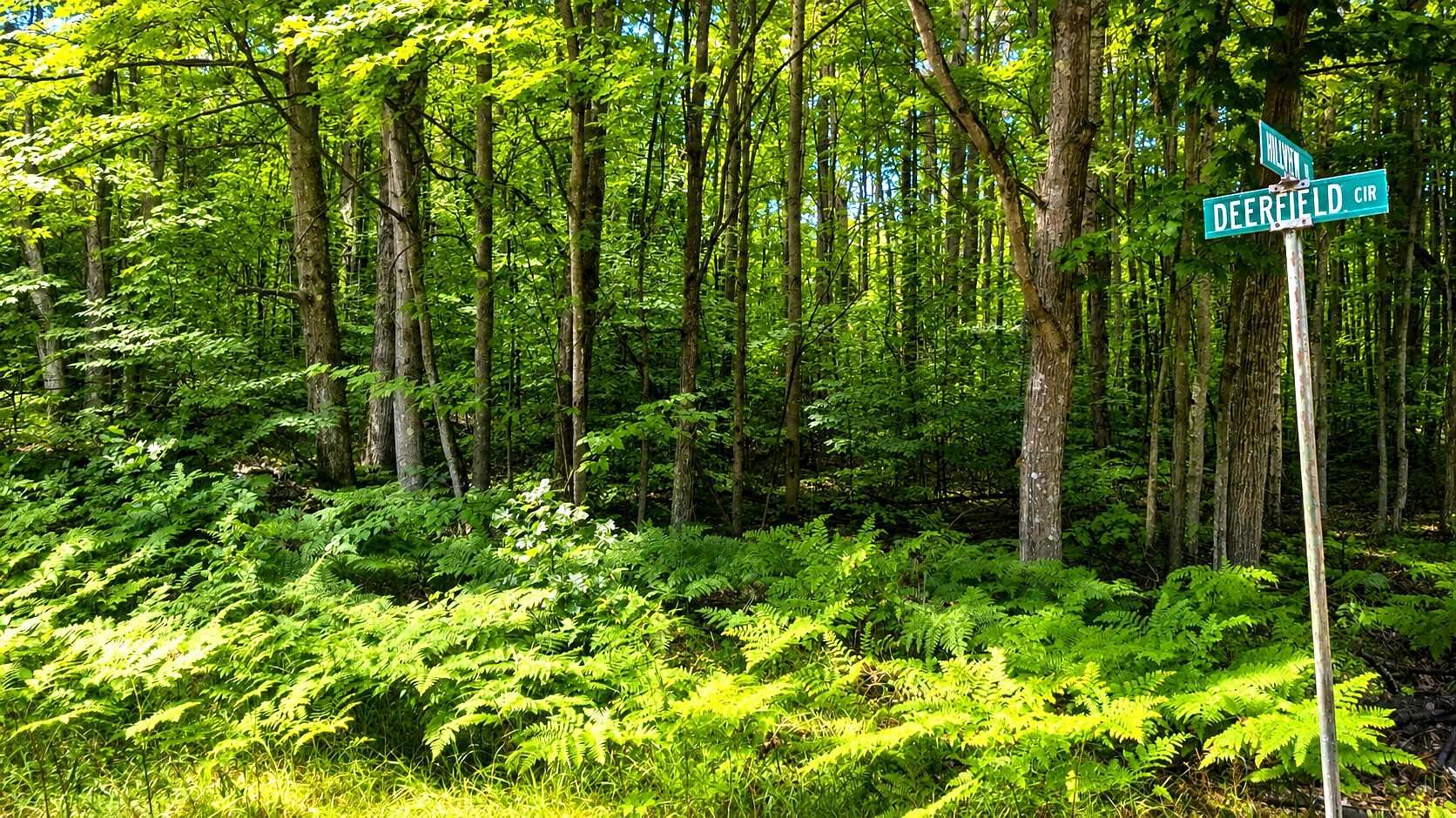 10 Acres of Recreational & Residential Land for Sale in Reed City, Michigan