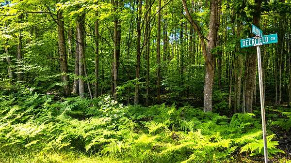 10 Acres of Recreational & Residential Land for Sale in Reed City, Michigan
