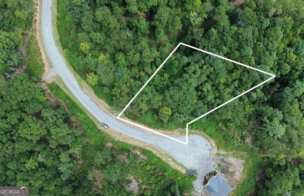 1 Acre of Residential Land for Sale in Mineral Bluff, Georgia