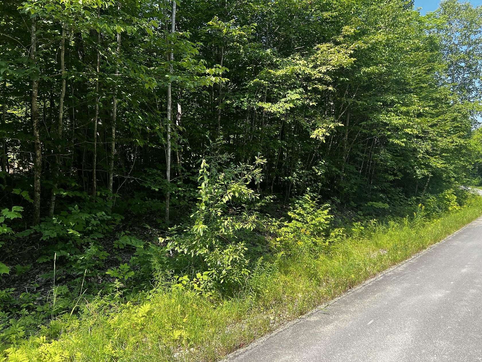 2 Acres of Land for Sale in Danforth, Maine
