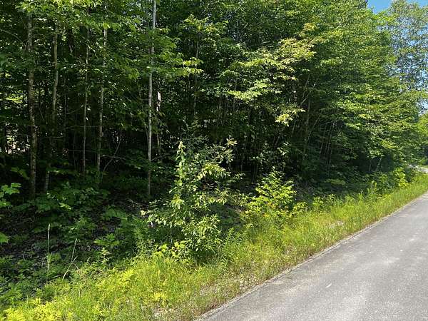 2 Acres of Land for Sale in Danforth, Maine