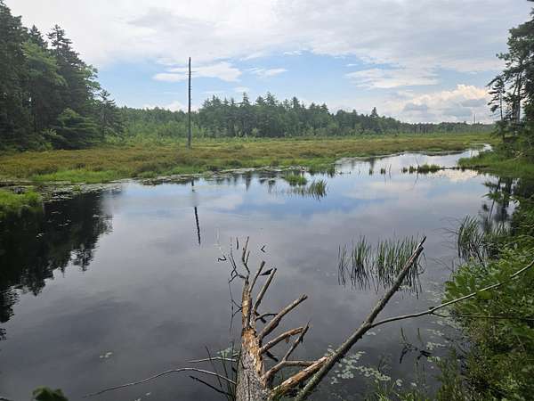 360 Acres of Recreational & Residential Land for Sale in Conway, New Hampshire