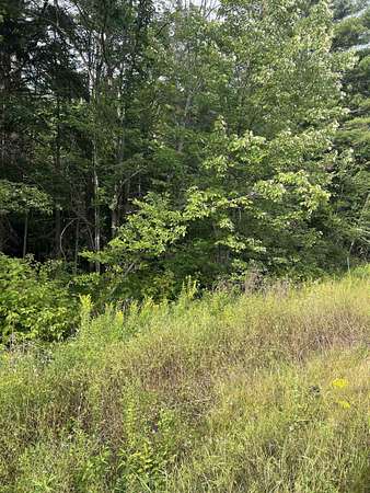 0.23 Acres of Residential Land for Sale in Canaan, New Hampshire