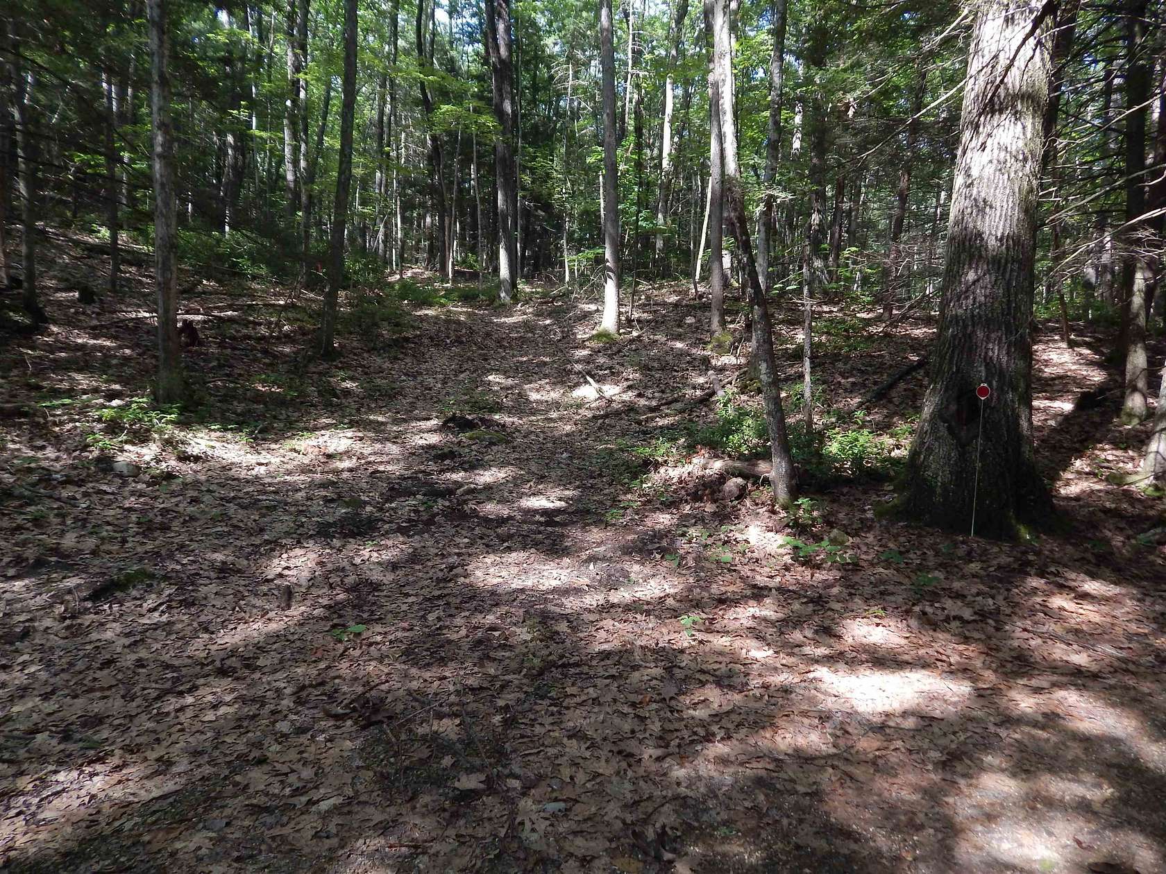 15.7 Acres of Recreational & Residential Land for Sale in Hinsdale, New Hampshire