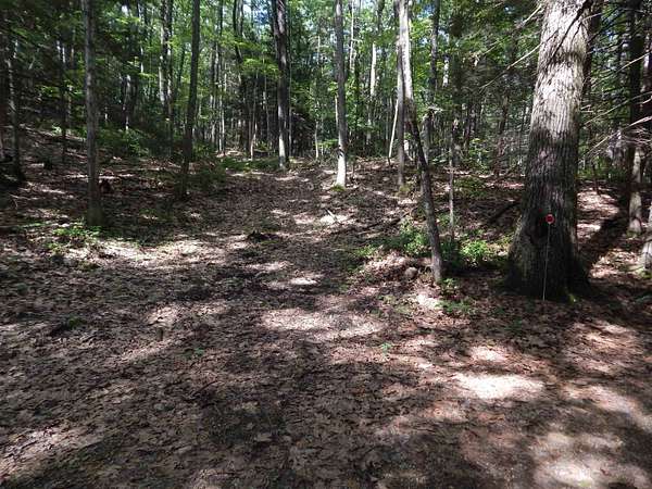 15.7 Acres of Recreational & Residential Land for Sale in Hinsdale, New Hampshire