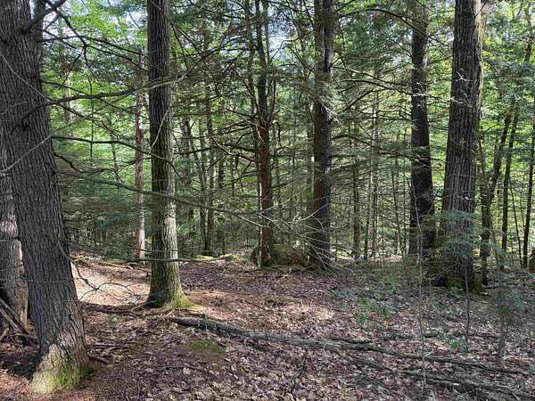 0.35 Acres of Residential Land for Sale in Hillsborough, New Hampshire