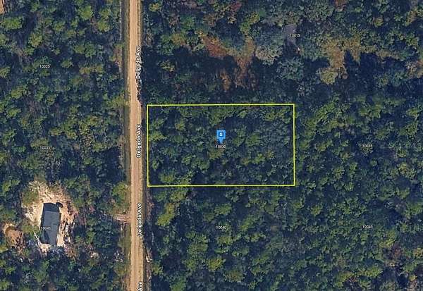 1.14 Acres of Residential Land for Sale in Hastings, Florida