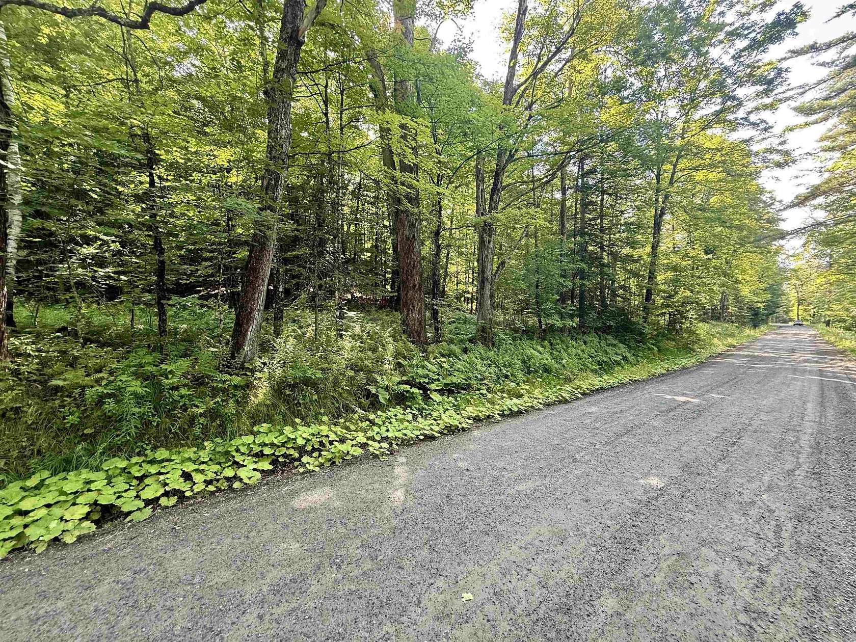 49.2 Acres of Land for Sale in St. Johnsbury, Vermont