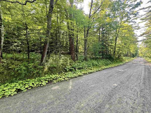49.2 Acres of Land for Sale in St. Johnsbury, Vermont