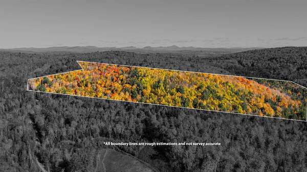 49.2 Acres of Land for Sale in St. Johnsbury, Vermont