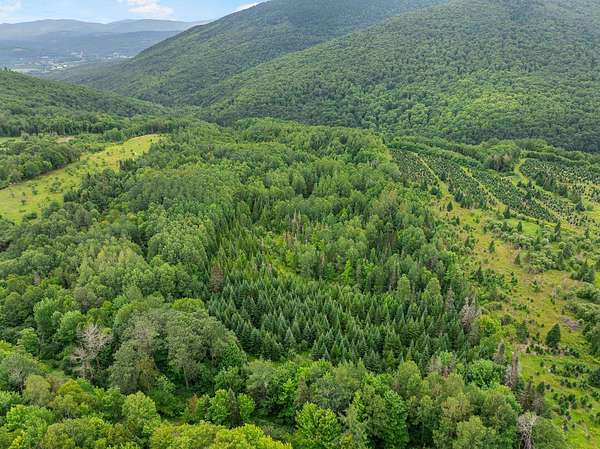 18 Acres of Land for Sale in Lemington Town, Vermont