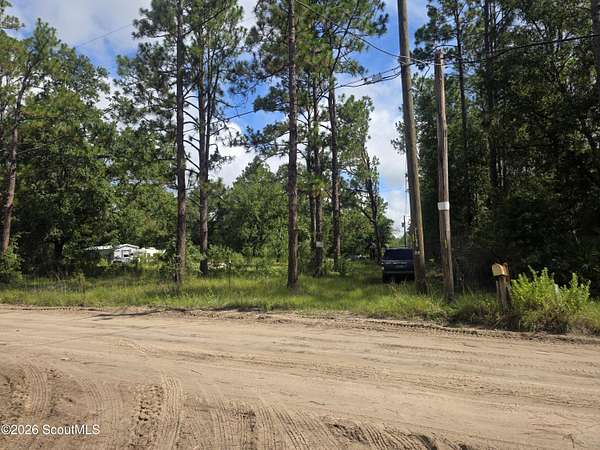 1 Acre of Residential Land for Sale in Waynesville, Georgia
