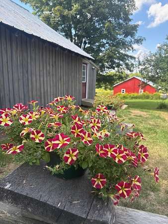 3.8 Acres of Land with Home for Sale in Newbury, Vermont