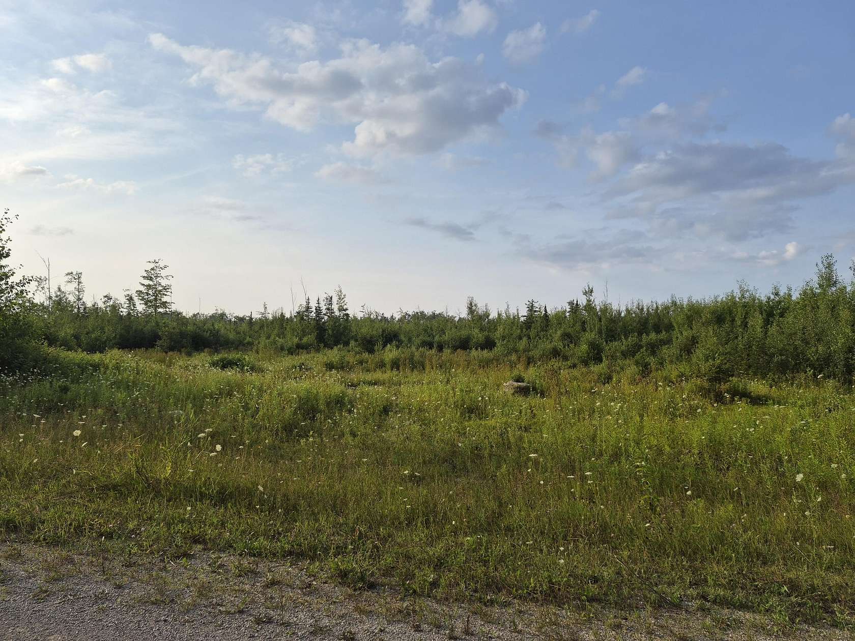 80 Acres of Recreational Land for Sale in Rogers City, Michigan