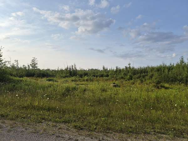 80 Acres of Recreational Land for Sale in Rogers City, Michigan