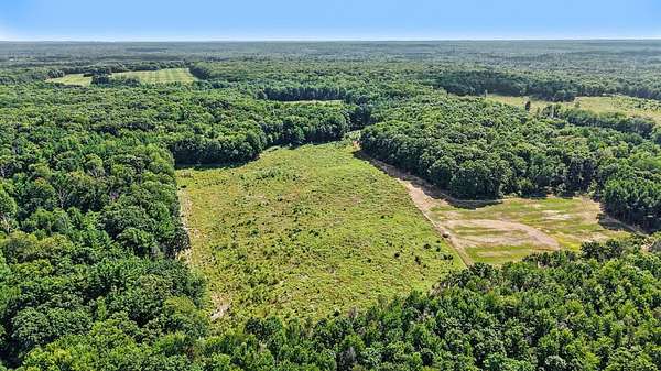 27 Acres of Land for Sale in White Cloud, Michigan