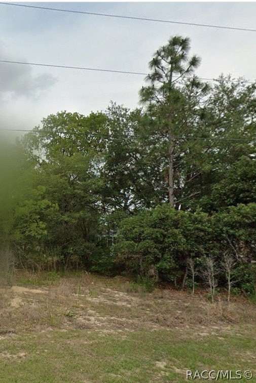0.23 Acres of Residential Land for Sale in Dunnellon, Florida