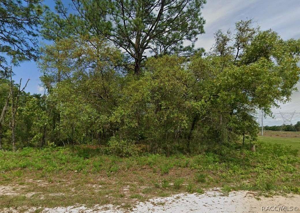0.45 Acres of Residential Land for Sale in Dunnellon, Florida