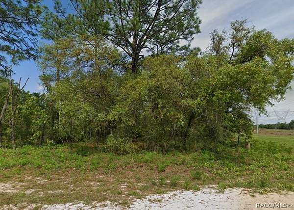 0.45 Acres of Residential Land for Sale in Dunnellon, Florida