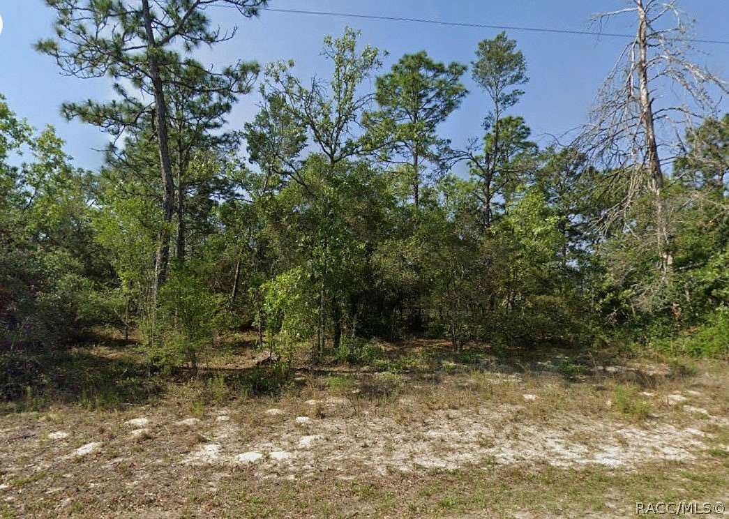 1.13 Acres of Residential Land for Sale in Dunnellon, Florida