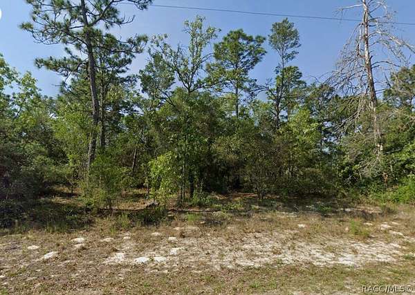 1.13 Acres of Residential Land for Sale in Dunnellon, Florida