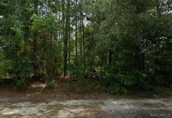 0.26 Acres of Residential Land for Sale in Dunnellon, Florida