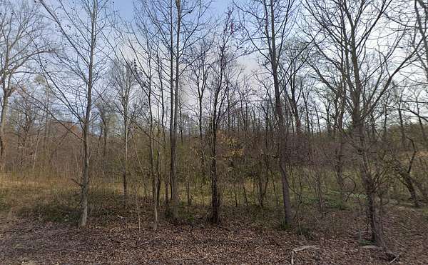 19 Acres of Land for Sale in Bradford, Tennessee