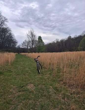 30 Acres of Land for Sale in McMinnville, Tennessee