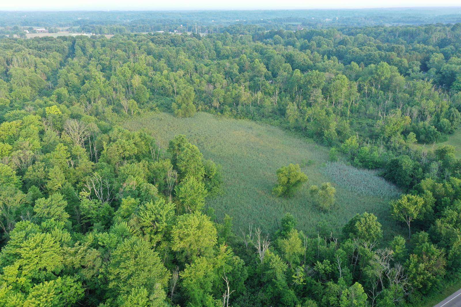 43.5 Acres of Recreational & Residential Land for Auction in Streetsboro, Ohio