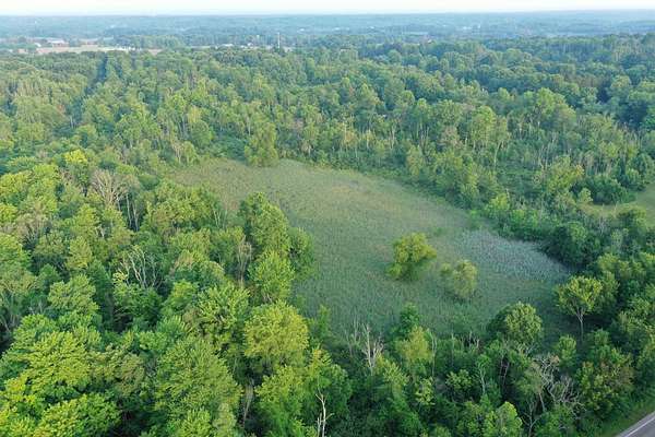 43.5 Acres of Recreational & Residential Land for Auction in Streetsboro, Ohio