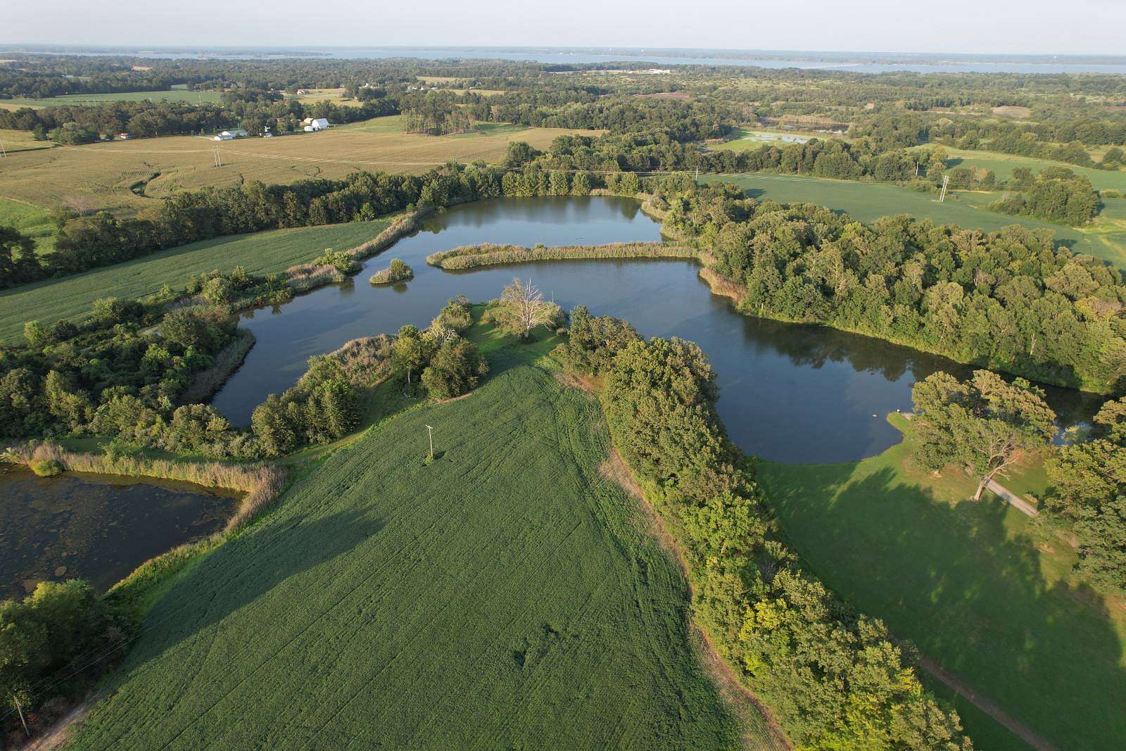 91 Acres of Land for Sale in Sesser, Illinois