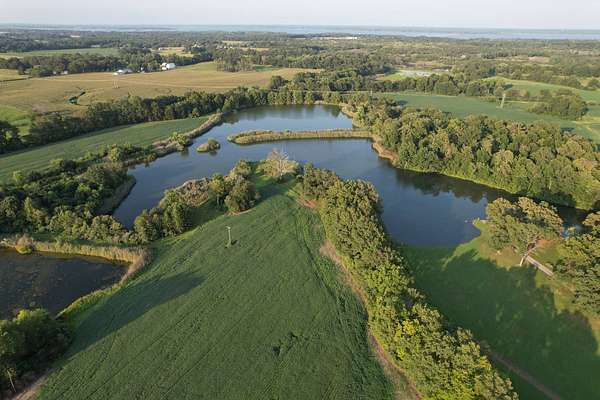 91 Acres of Land for Sale in Sesser, Illinois