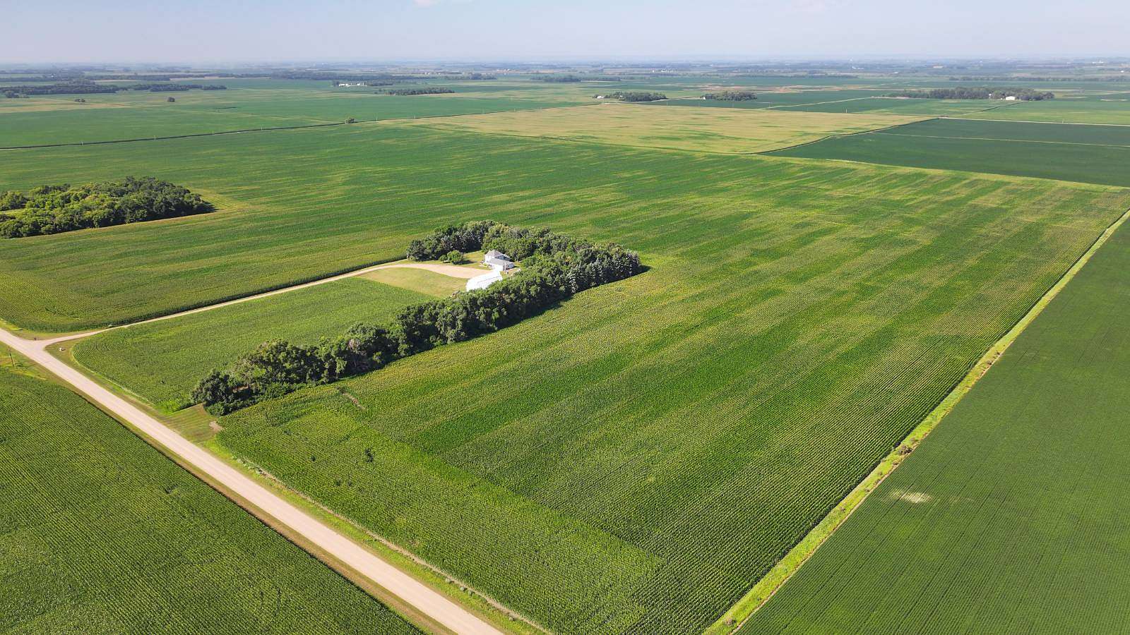 231 Acres of Land for Auction in Rosholt, South Dakota