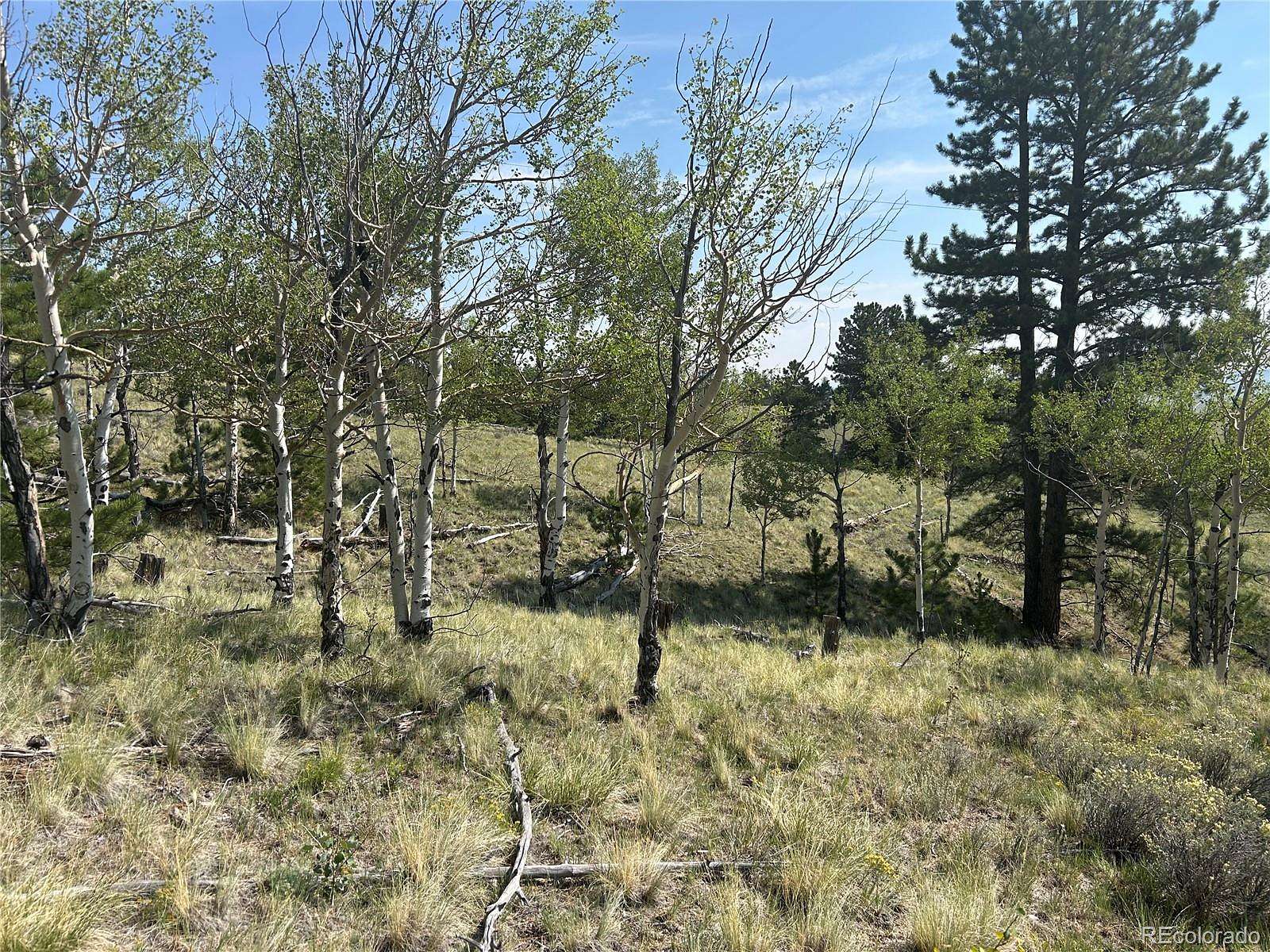 5 Acres of Residential Land for Sale in Hartsel, Colorado