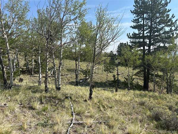 5 Acres of Residential Land for Sale in Hartsel, Colorado