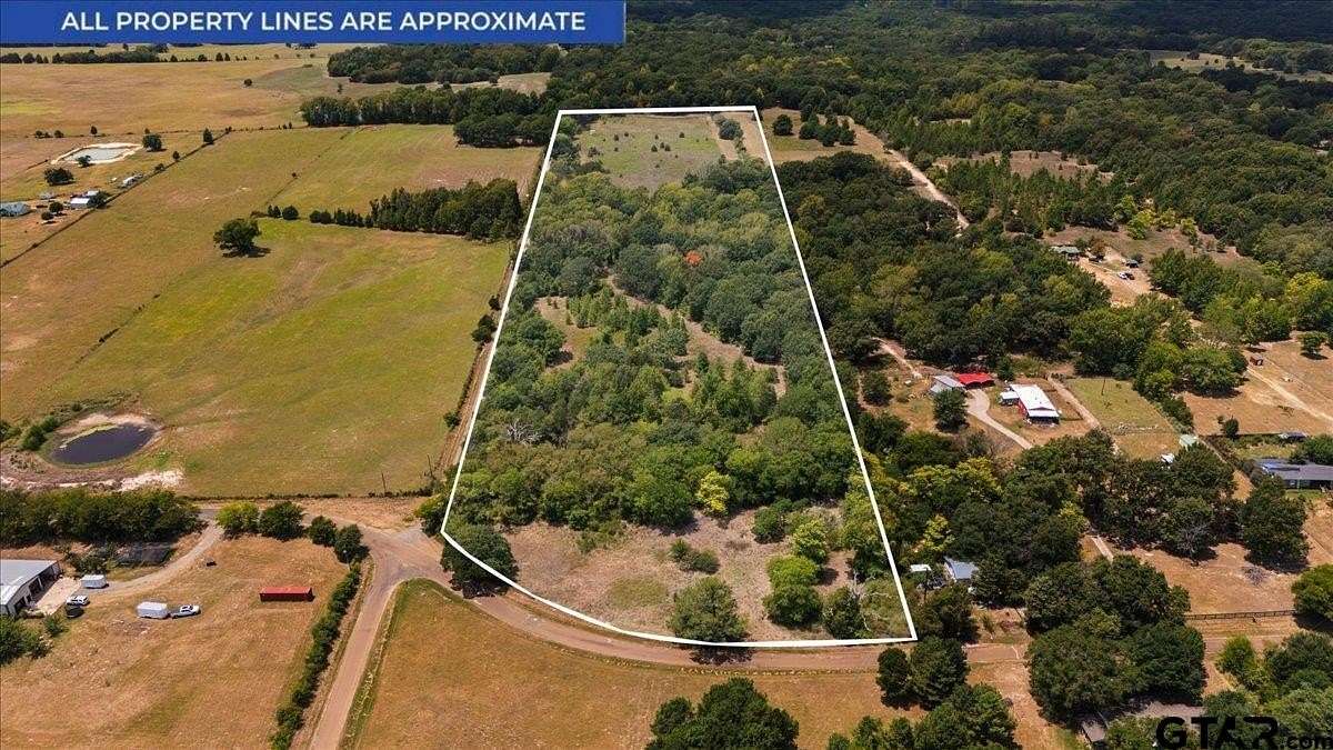 20 Acres of Recreational & Residential Land for Sale in Ben Wheeler, Texas