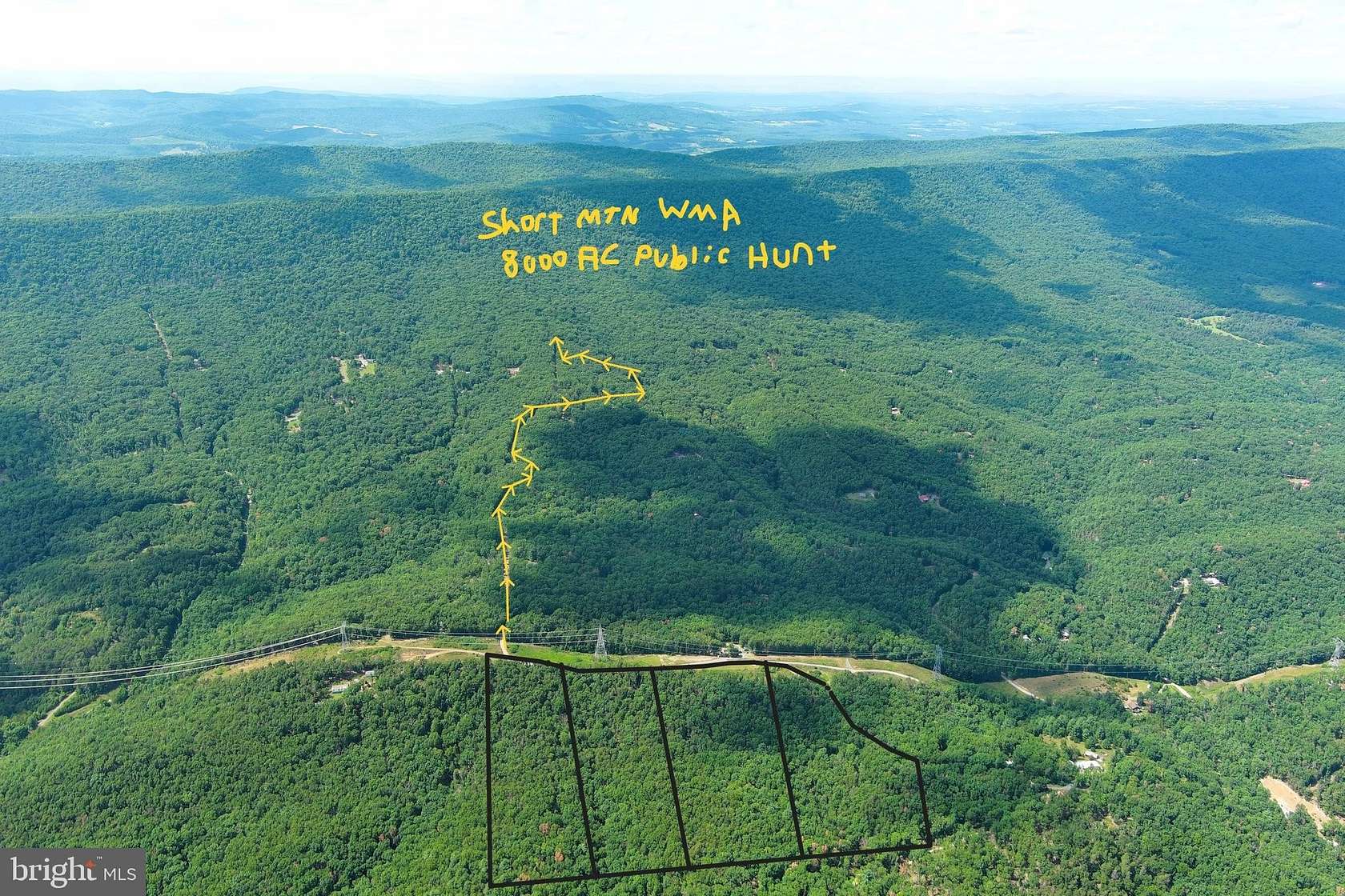 31.8 Acres of Recreational Land for Sale in Delray, West Virginia