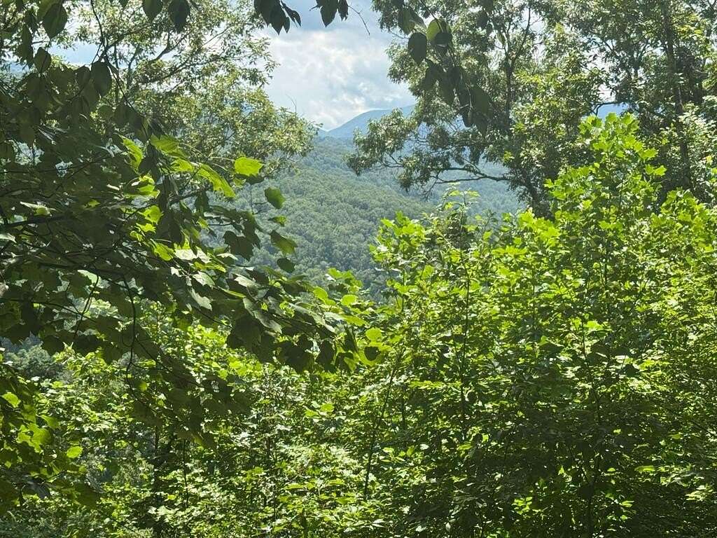 1.29 Acres of Residential Land for Sale in Hiawassee, Georgia