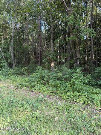 0.73 Acres of Residential Land for Sale in New Bern, North Carolina