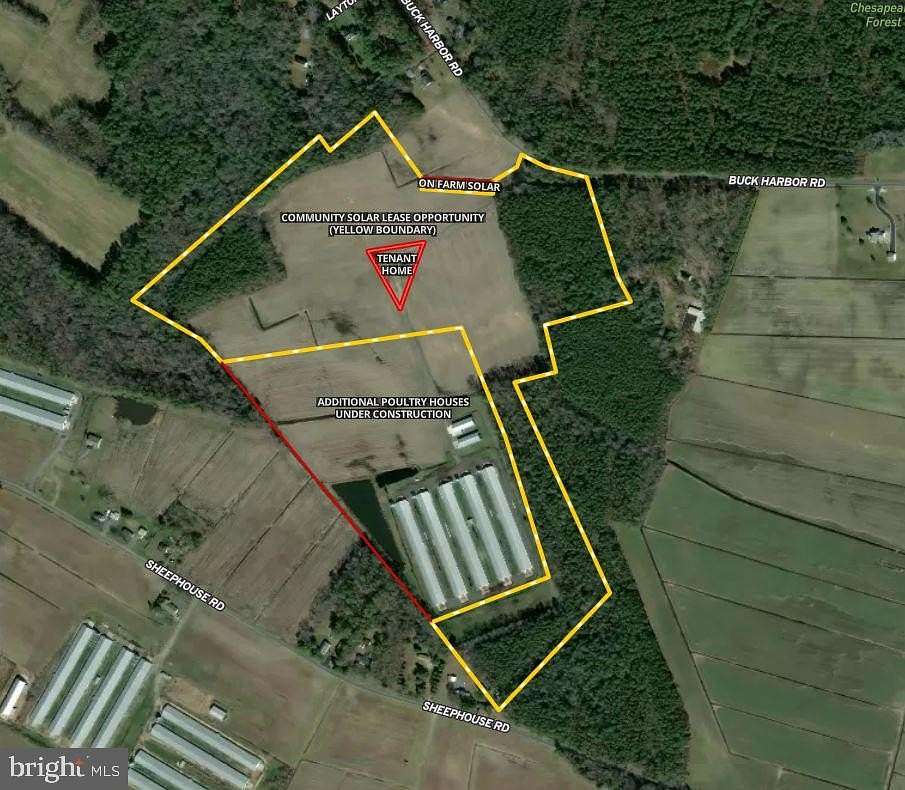 56.5 Acres of Land for Lease in Pocomoke City, Maryland