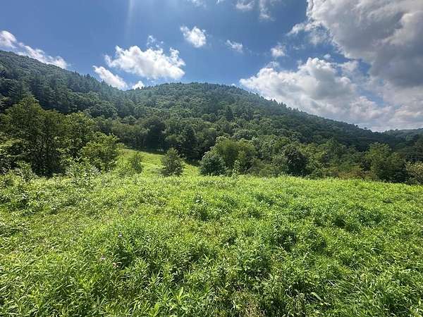 5.4 Acres of Land for Sale in Mouth of Wilson, Virginia