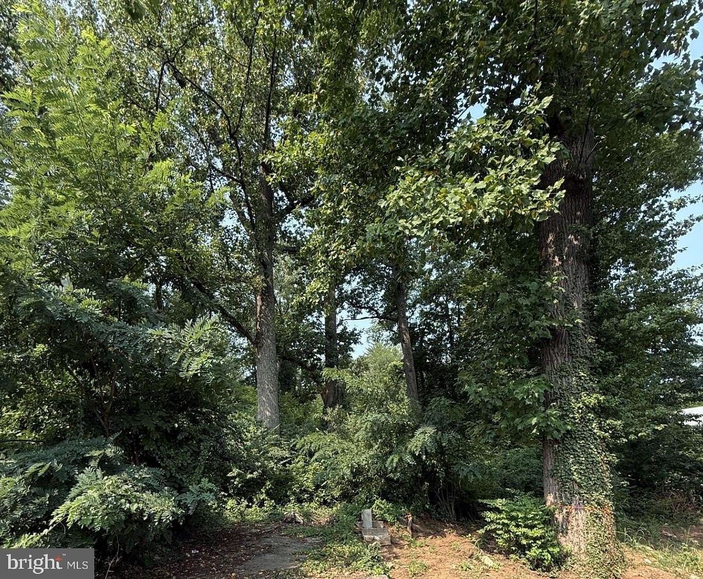 0.51 Acres of Residential Land for Sale in Bethesda, Maryland