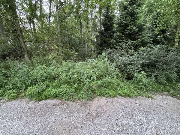 0.34 Acres of Land for Sale in Union Pier, Michigan