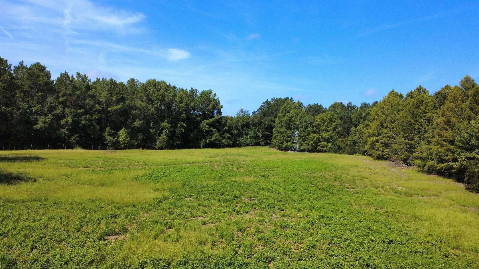 14 Acres of Land for Sale in Nichols, South Carolina