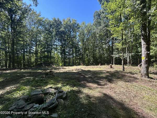2.8 Acres of Residential Land for Sale in Dalton, Pennsylvania