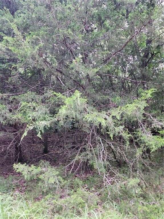 0.19 Acres of Residential Land for Sale in Linn Valley, Kansas
