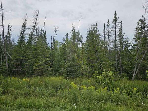 40 Acres of Recreational & Residential Land for Sale in Alpena, Michigan