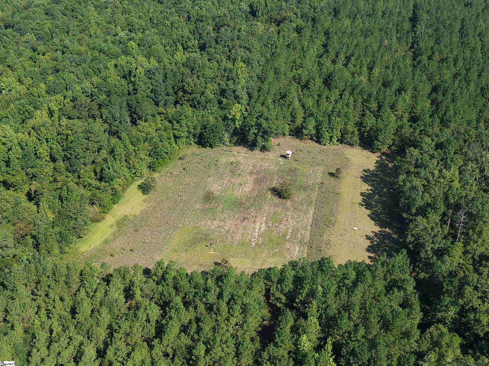 100 Acres of Recreational & Residential Land for Sale in Bamberg, South Carolina