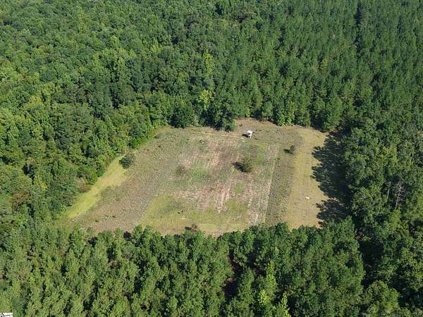 100 Acres of Recreational & Residential Land for Sale in Bamberg, South Carolina